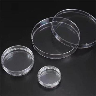 3D Cel Floater Schotel