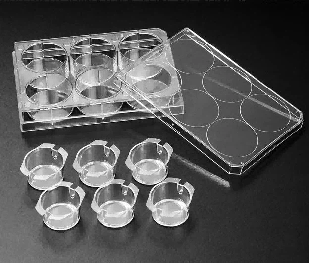3D Cell Culture Insert Hanging PC/PET